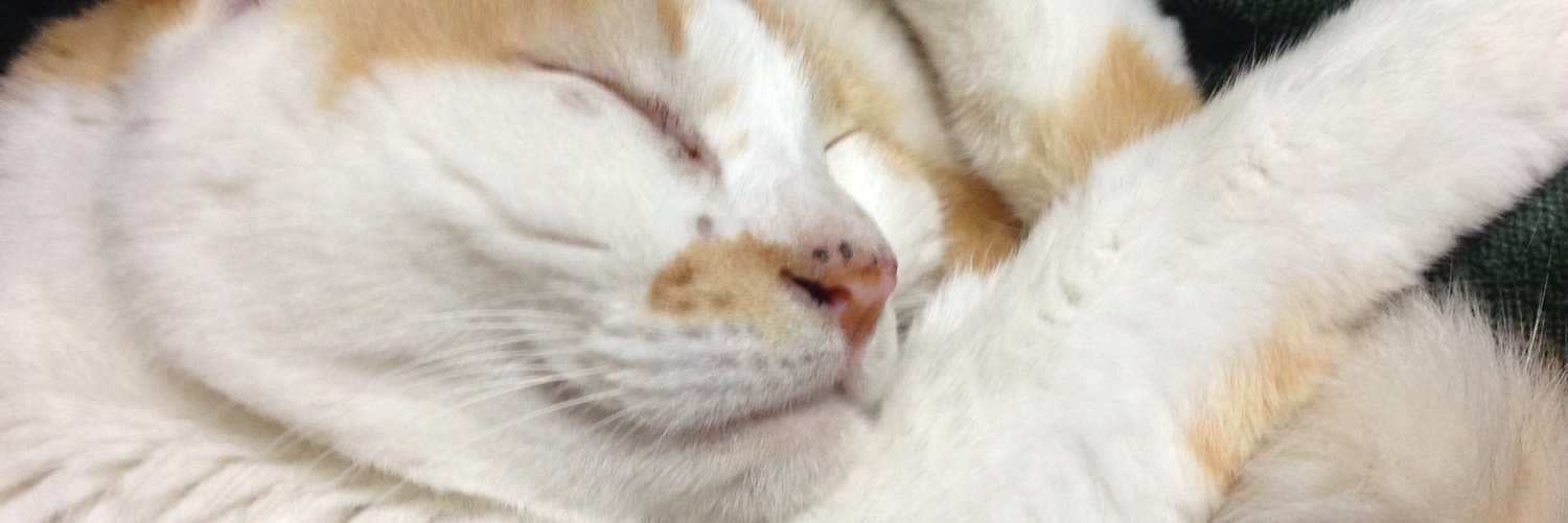 aknsmam's profile banner image