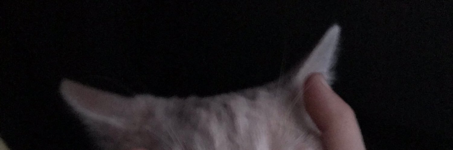s banner