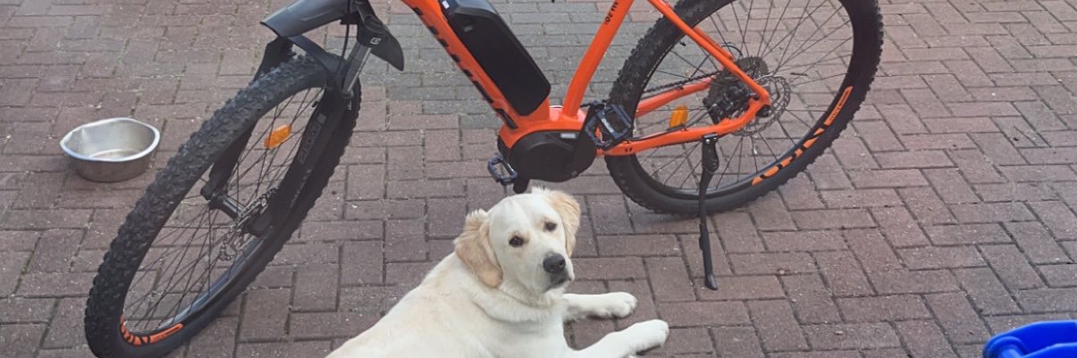 Howard Simpson banner