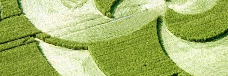 edgardogen's profile banner image