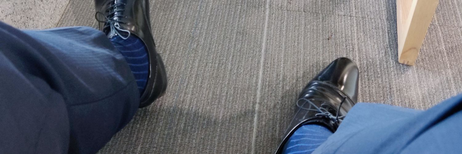 Koi banner