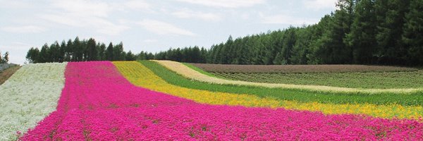 nab49514044 Profile Banner