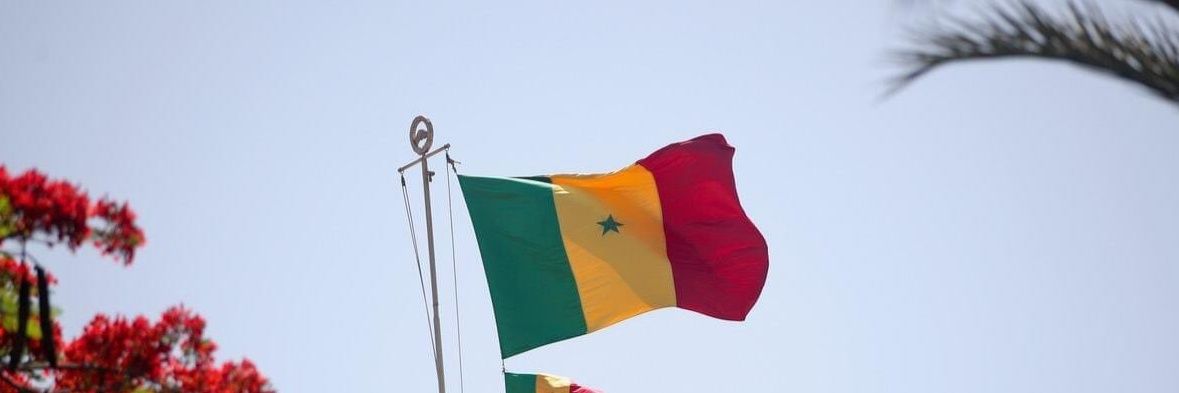 alpha 🇸🇳 banner