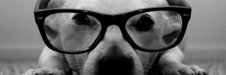 Christopher L banner