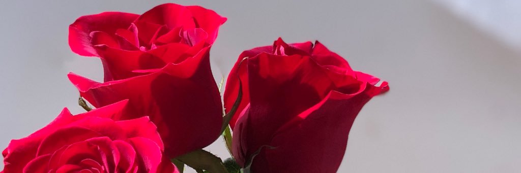 aprilryn's profile banner image