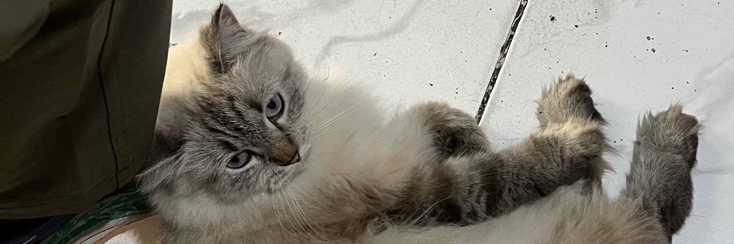 novaaland's profile banner image
