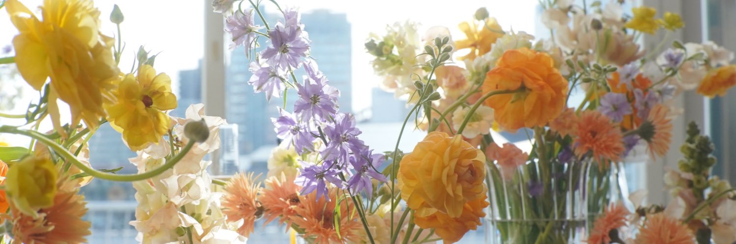 おるか banner