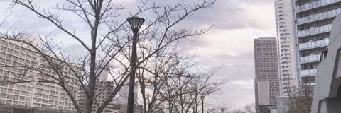 Mary_drt's profile banner image