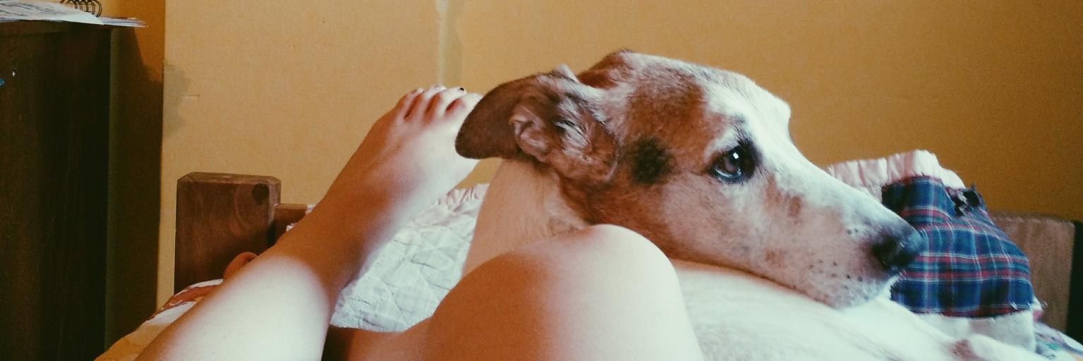 __MariaLuzM's profile banner image
