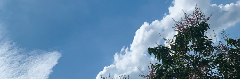 JingxinLow's profile banner image