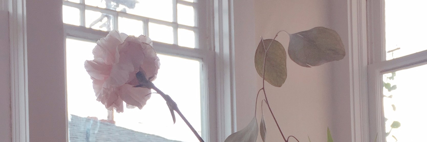 allypink7's profile banner image
