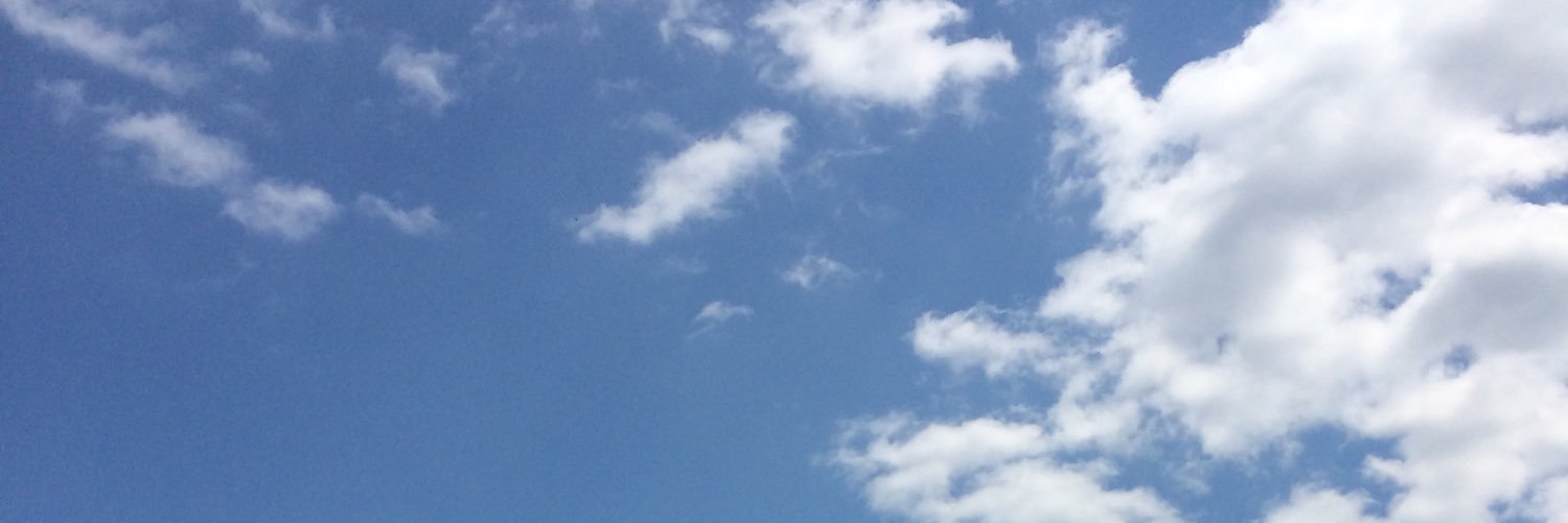 ねこかん banner