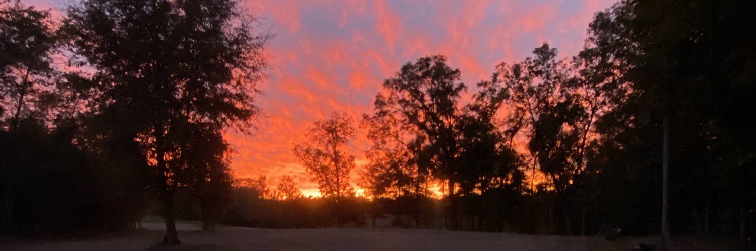 ctfarmgurl's profile banner image