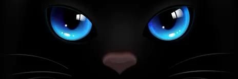 abrilfozy's profile banner image