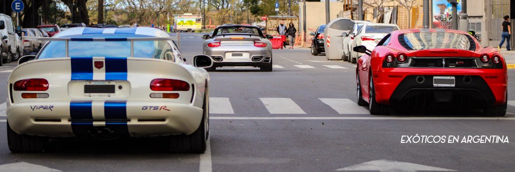 Exóticos en Argentina banner