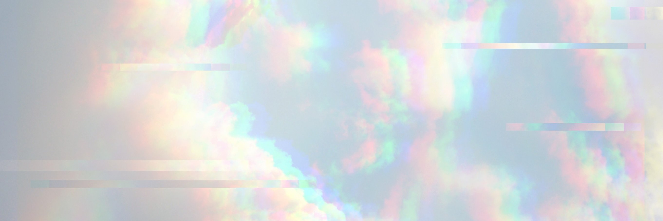 Courtney Schnorr banner