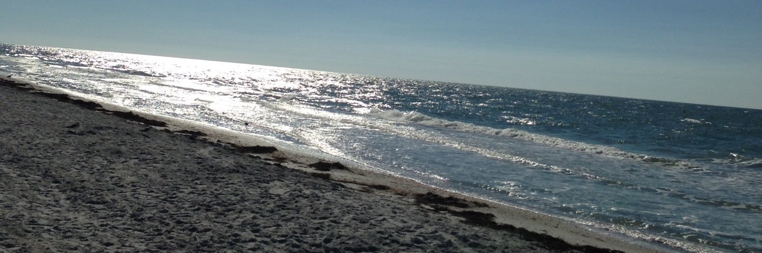 NickiSaunders banner