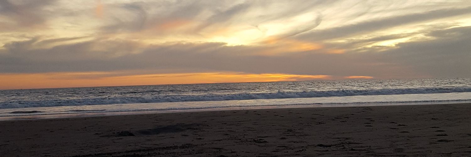 dguev_'s profile banner image