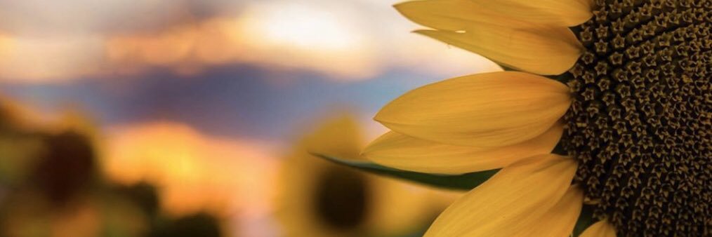 rafaelasquadros's profile banner image