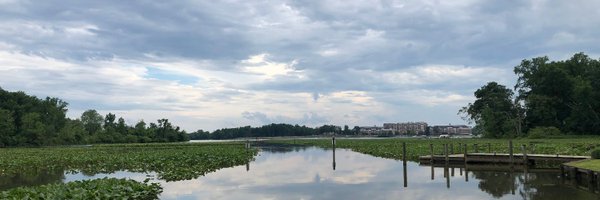 EnergyLawJeff Profile Banner