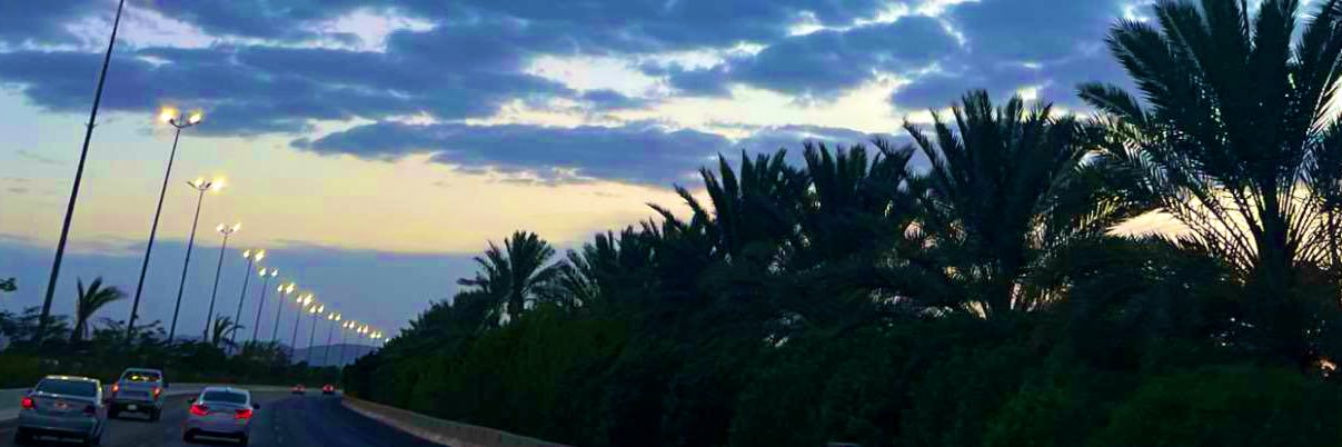 Faten Alshehri banner