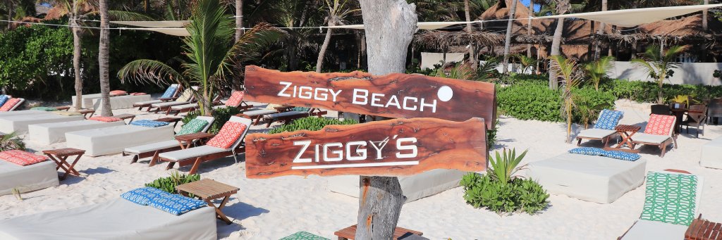 ZiggysTulum's profile banner image