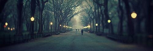 leandra_shada_d's profile banner image
