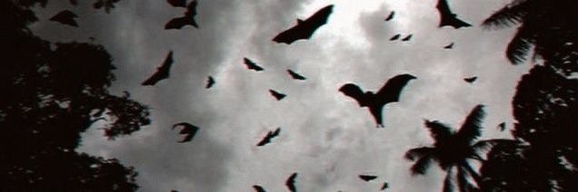 łuαrirang⁷ 🪭 VAI VER O BTS banner