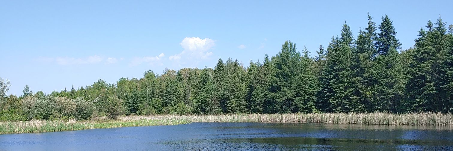 Kaitlyn Obedzinski Kuryk banner