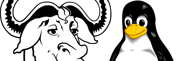 Emmanuel Echeconea banner