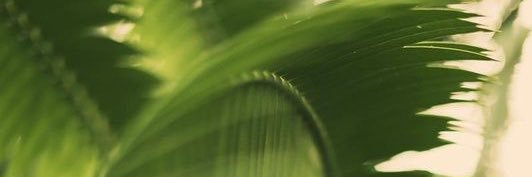 EricaNEldridge's profile banner image
