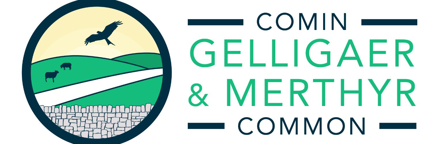 Comin Cydweithredol - Common Connection banner