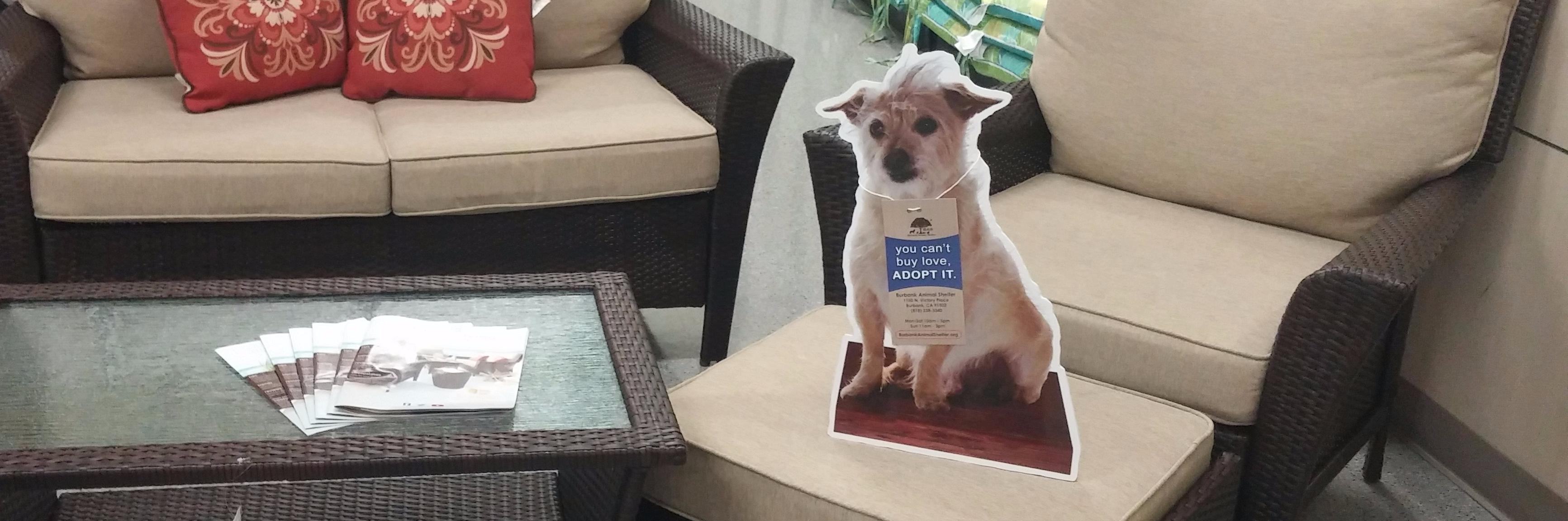 burbankanimals's profile banner image
