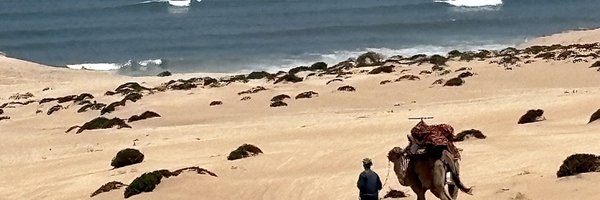 ssh_aml Profile Banner