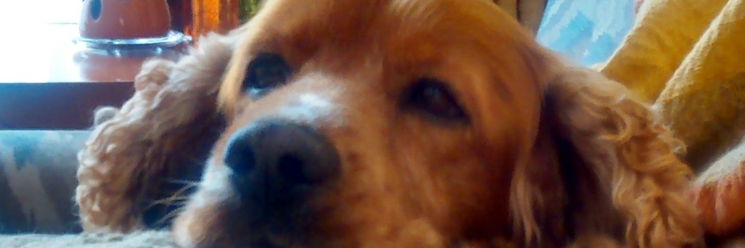 arojos's profile banner image