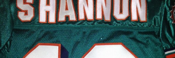 larryDshannon Profile Banner