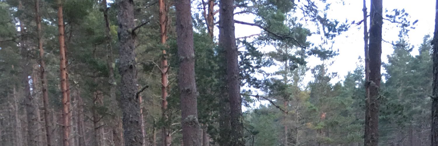 darrensmoother's profile banner image