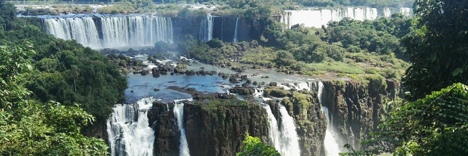 Cecilia Mayorga banner