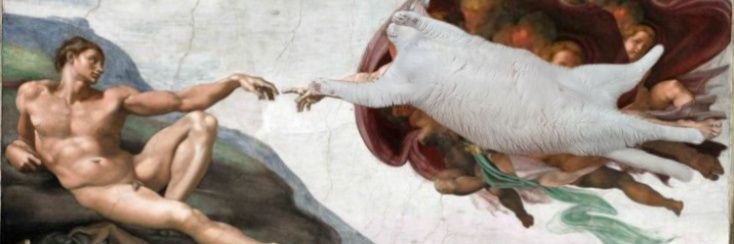 DieDuftfee's profile banner image