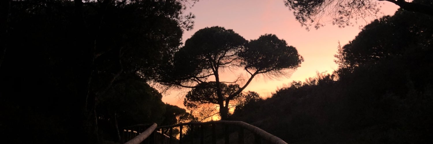 miristiciera's profile banner image