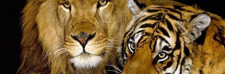 JamSaddar's profile banner image