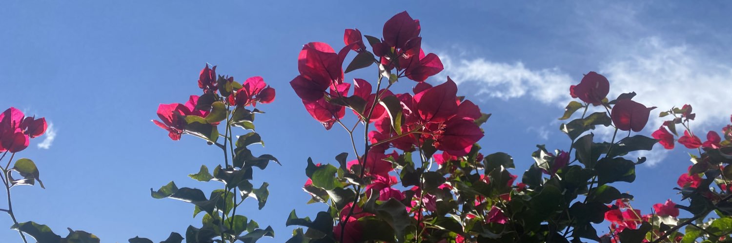 le_leslieee's profile banner image