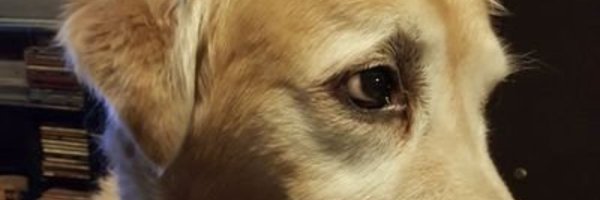 Michael35459858 Profile Banner