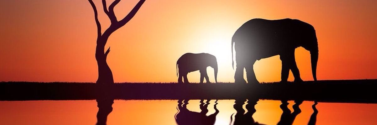 AngelicaM003's profile banner image