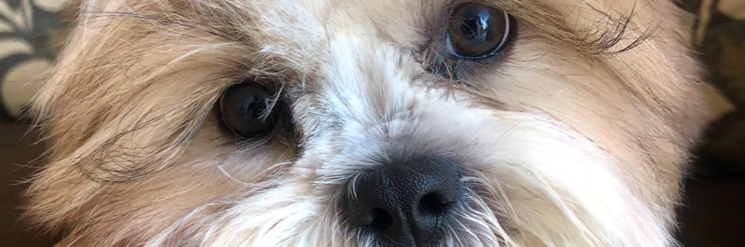 analía🤎 banner