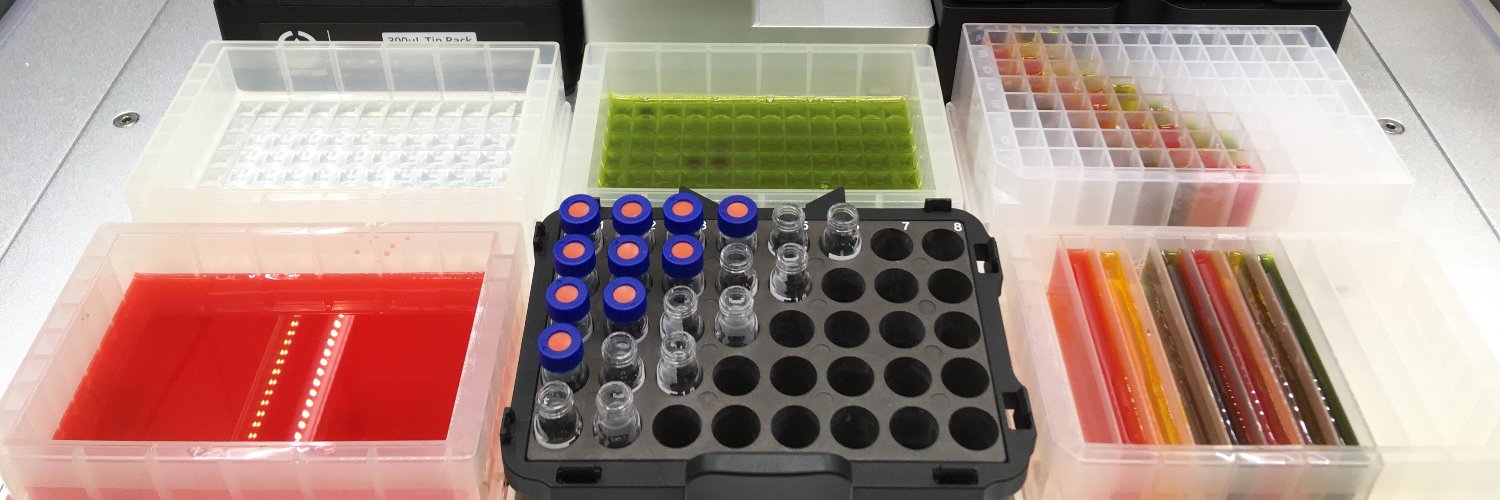 Robert Rauschen banner