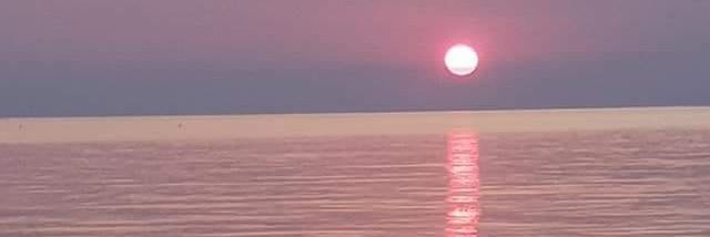 RosaPerrone61's profile banner image