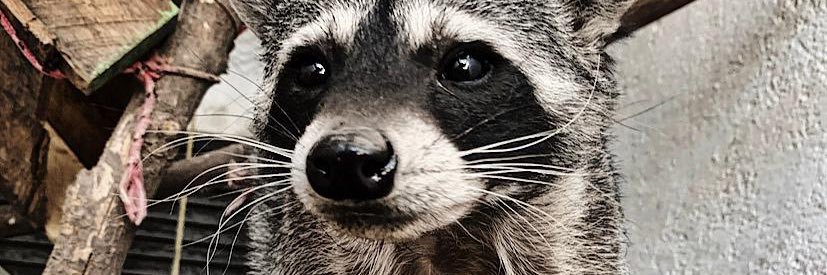 renataJB6's profile banner image