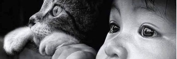 martha_urb's profile banner image