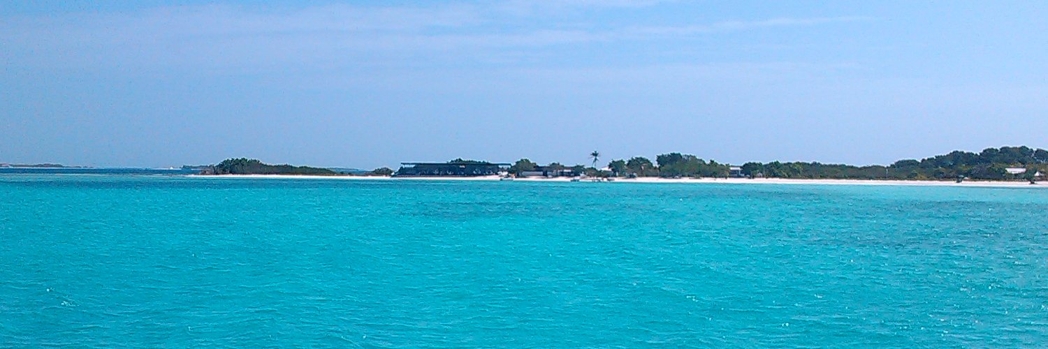 Duilio Digiacomo banner